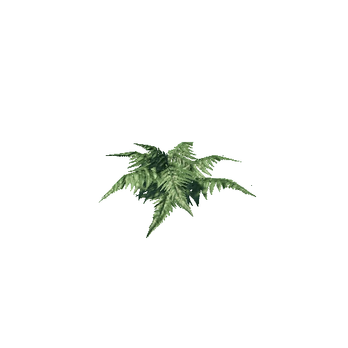 plant03_1