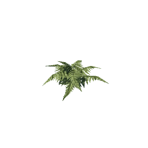 plant03_2