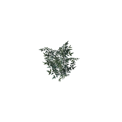 plant07_1