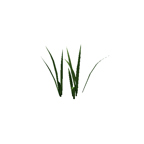 plant_iris04_1