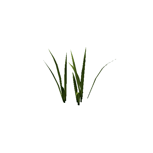 plant_iris04_2