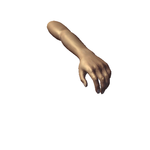 Female_Hand_Left_Prefab