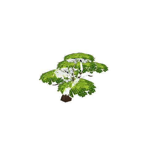 Tree_01