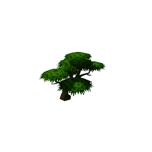 Tree_06