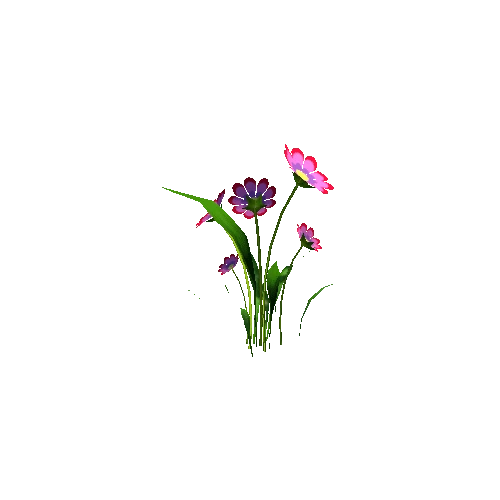 Flower_06