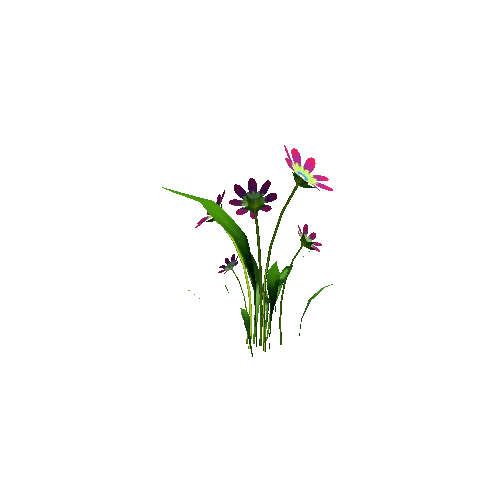Flower_08