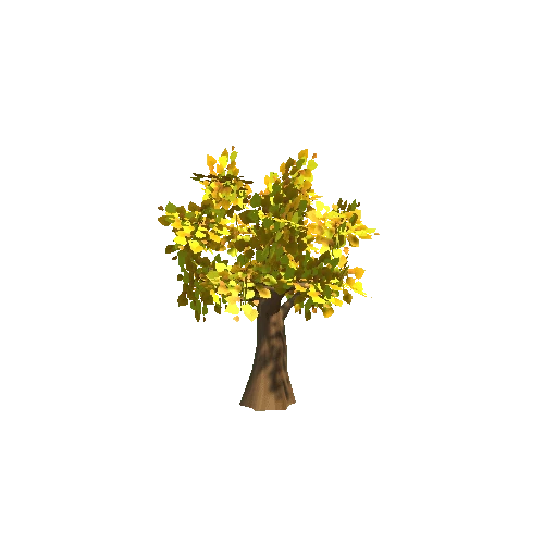 Tree_03