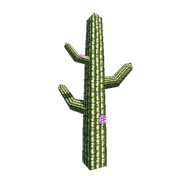 cactus_Flowers_Large_lowPoly