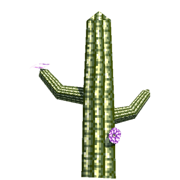 cactus_Flowers_Small_lowPoly