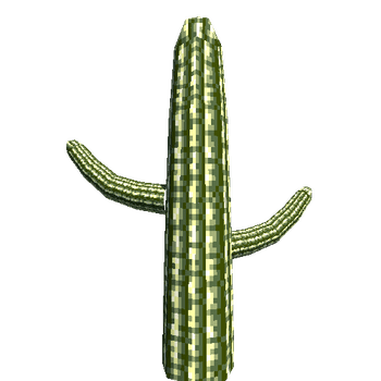 cactus_Small_hiPoly
