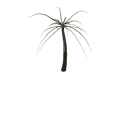 Palm_Tree2_prefab