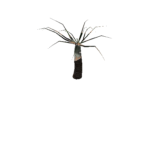 Palm_Tree3_prefab