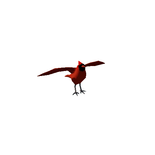 lb_cardinal