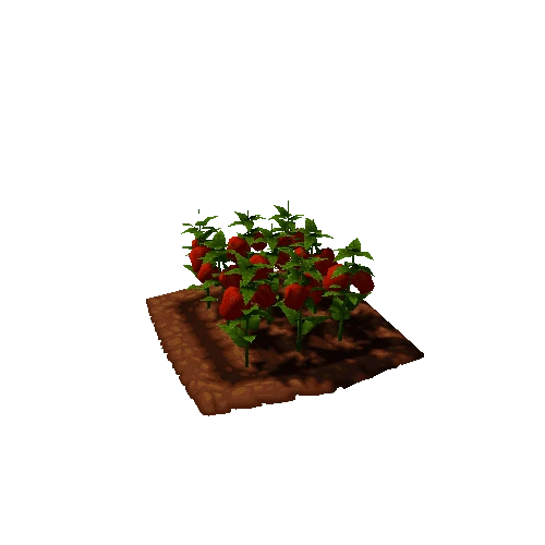 BellPepper_Field_Red_Lv3