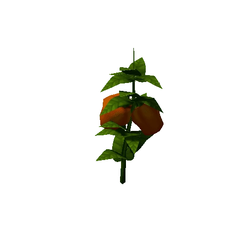 BellPepper_Orange_Lv3