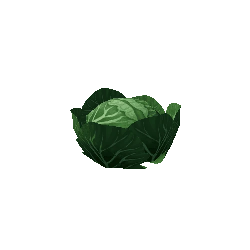 Cabbage_Green_Lv1