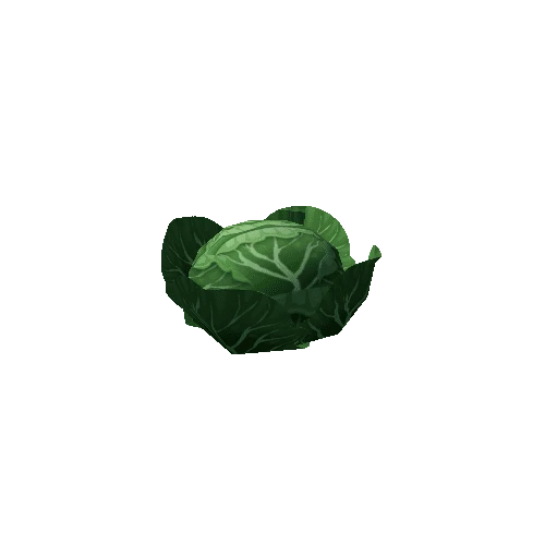 Cabbage_Green_Lv2