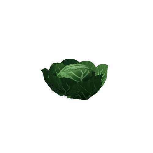 Cabbage_Green_Lv3