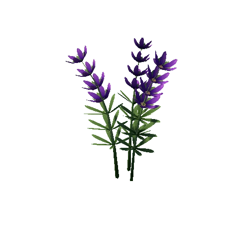 Lavender_Lv2