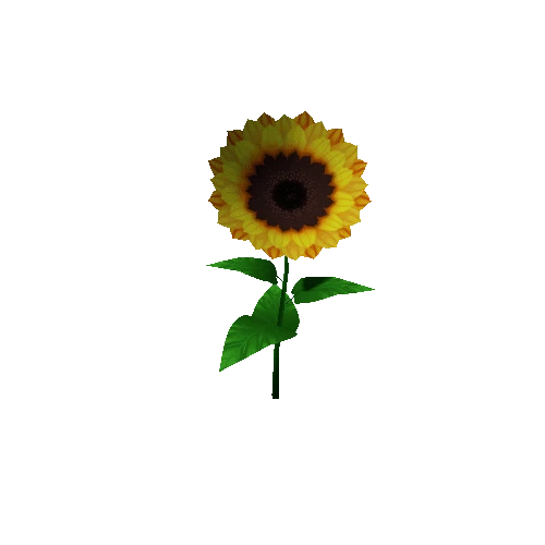 SunFlower_Lv3