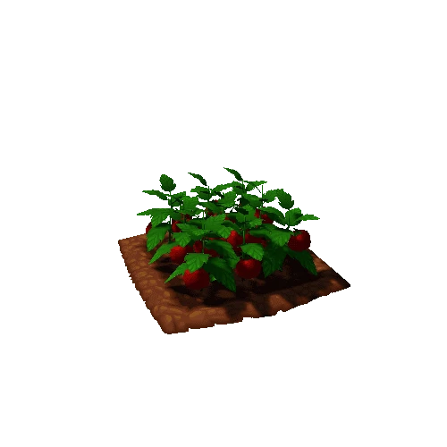 Tomato_Field_Lv3