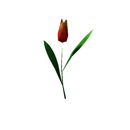 Tulip_Red_Lv2