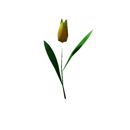 Tulip_Yellow_Lv2