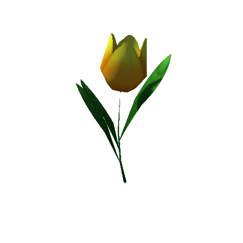 Tulip_Yellow_Lv3