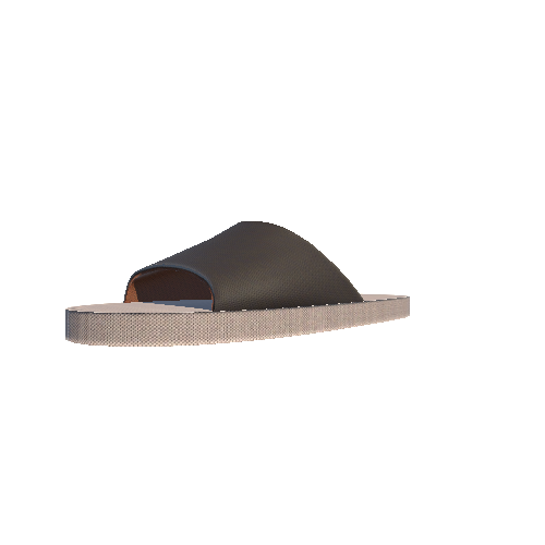 slipper_left