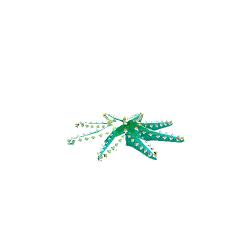 Crown_Starfish_Green