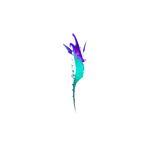 Sea_Horse_Violet_Move1