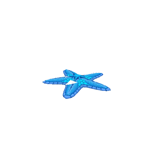 Starfish_Blue_Move