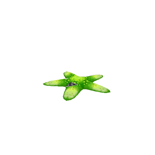 Starfish_Green_Idle