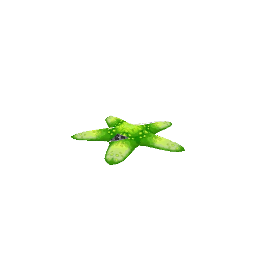 Starfish_Green_Move