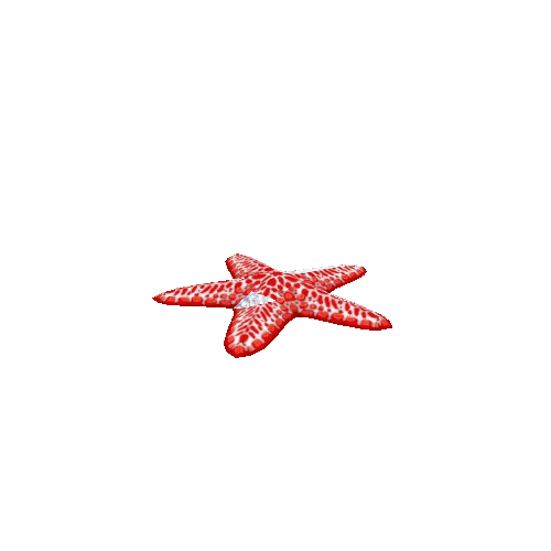 Starfish_Red_Idle