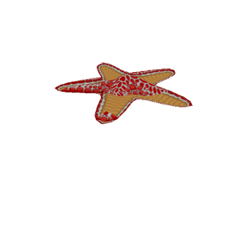 Starfish_Red_Move