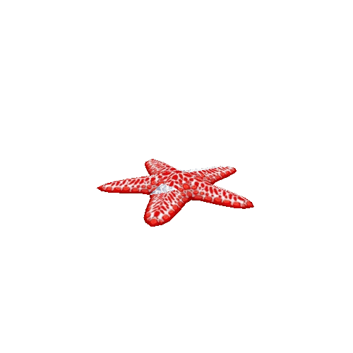 Starfish_Red_Move