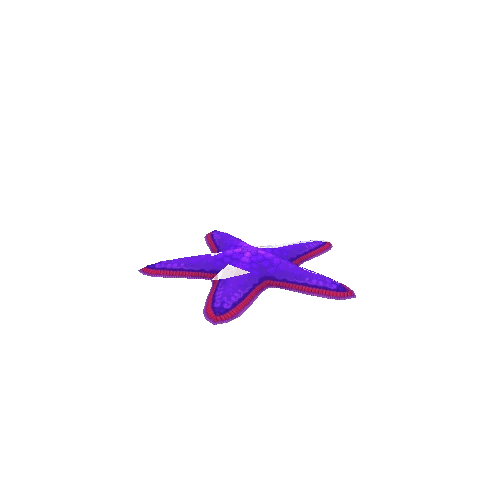 Starfish_Violet_Idle