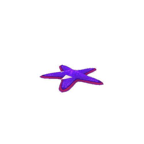 Starfish_Violet_Move