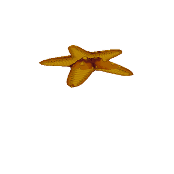 Starfish_Yellow_Iddle