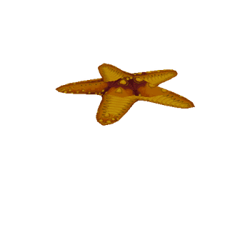 Starfish_Yellow_Move