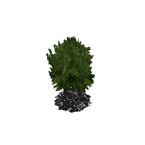 Birch_Tree_Prefab
