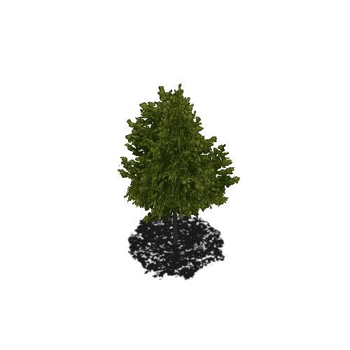 Corktree_Tree_Prefab