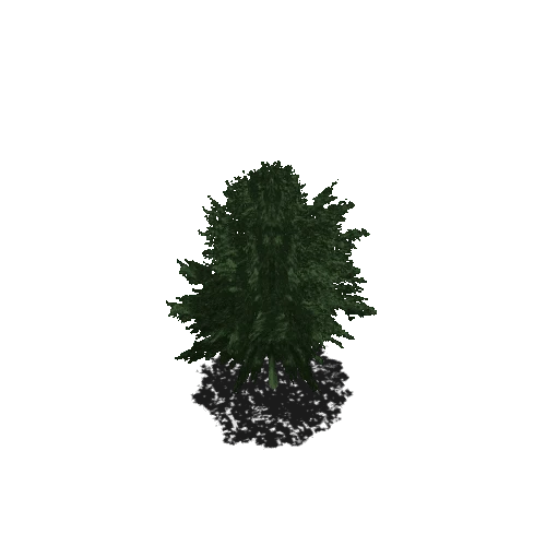 Elm_Tree_Prefab