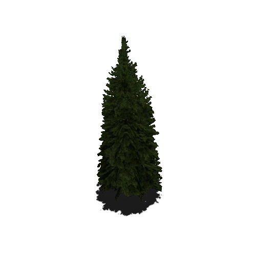 Pine01_Prefab