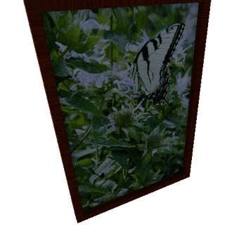 PictureFrame