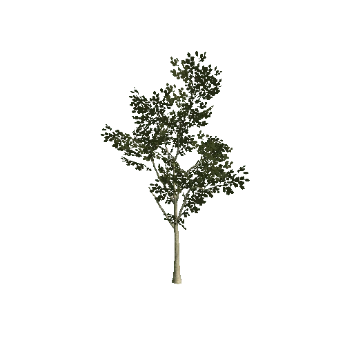 tree3