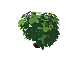 Tree03_1