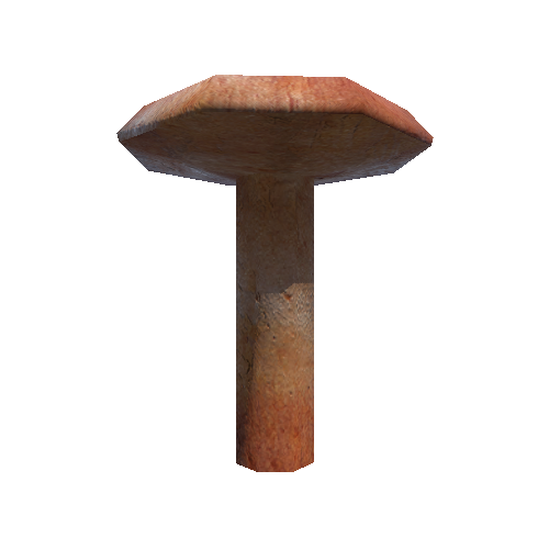 Mushroom2