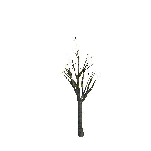 Tree10_1